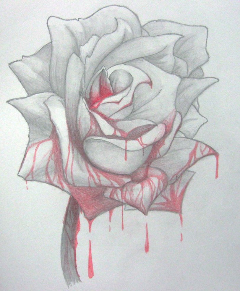812x984 Bloody Rose By Yureilia