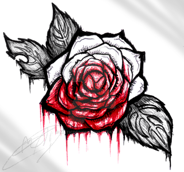 600x559 Rose By Maticdesigns