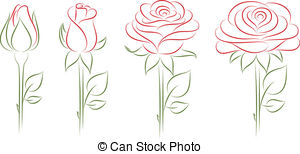 300x154 Vector Illustration Of A Blooming Roses. Eps10. Vector Clipart