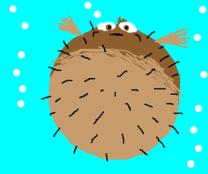 300x250 Finding Nemo Blowfish