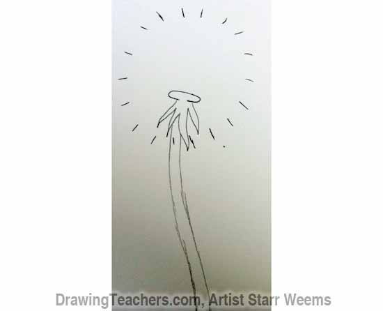 550x446 How To Draw A Dandelion