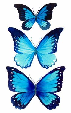 236x378 How To Draw Butterflies Butterfly, Drawings And Tattoo