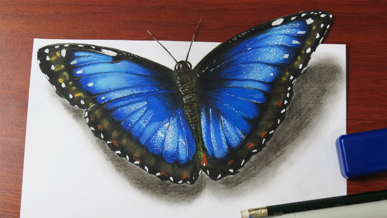 1280x720 How To Draw A Realistic Butterfly