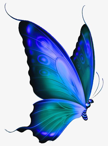433x584 Butterfly, Hand Painted Butterfly, Drawing Butterfly, Blue