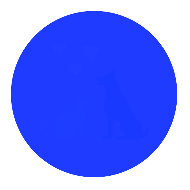 625x625 You'Ll Only Be Able To See Everything In This Circle If Your