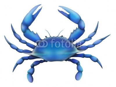 400x299 Blue Crab Drawing Clipart Panda