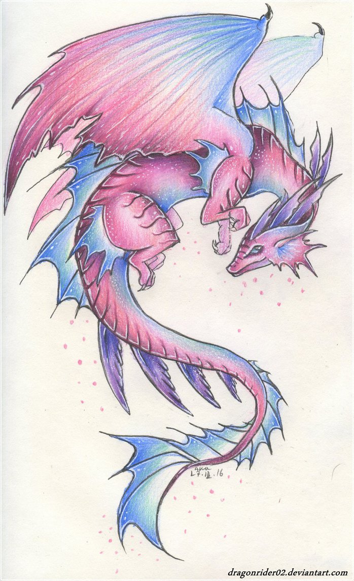 698x1145 Pink And Blue Dragon By Dragonrider02