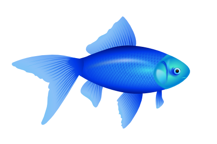 444x295 Clip Art Blue Fish Goldfish Svg