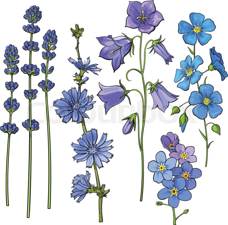 800x790 Set Of Hand Drawn Blue Flowers