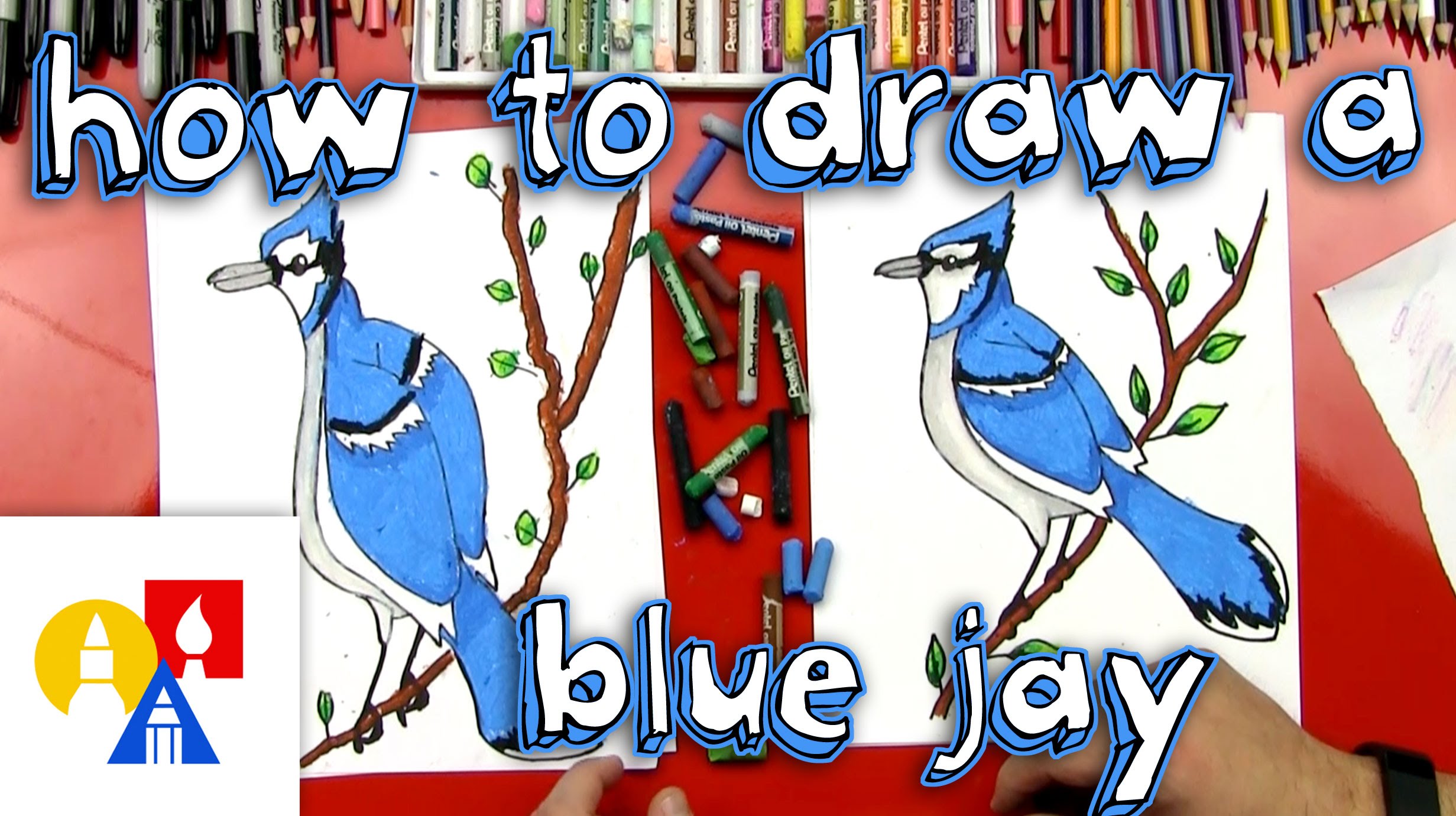 2463x1381 How To Draw A Blue Jay