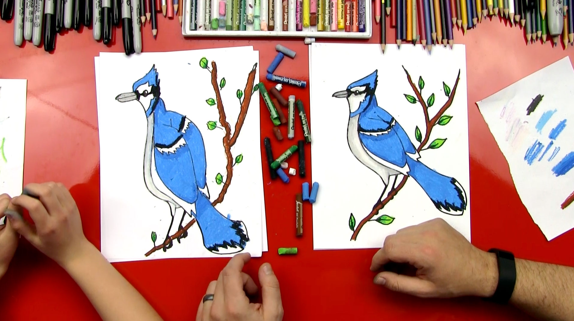 1914x1073 How To Draw A Blue Jay