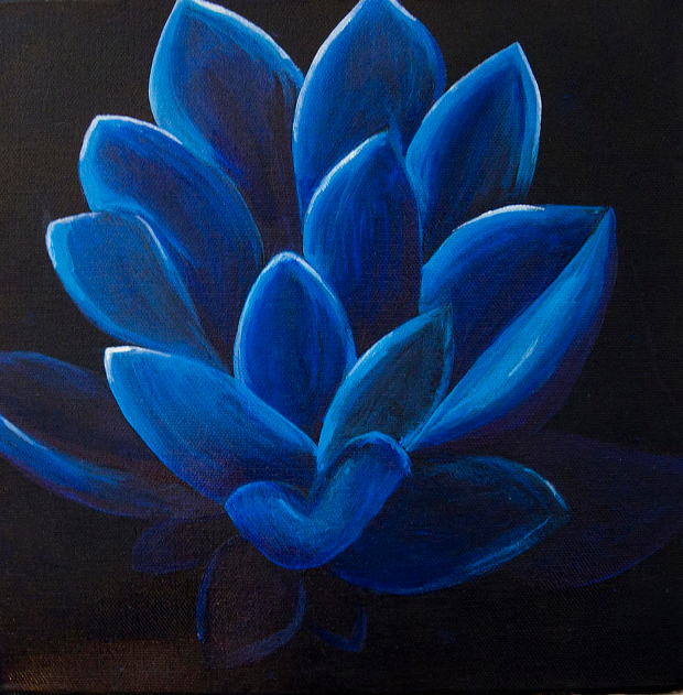 620x631 Flower Drawings, Sketches Design Trends