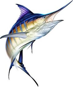 236x282 Jumping Blue Marlin Photoshop Illustration Httpwww