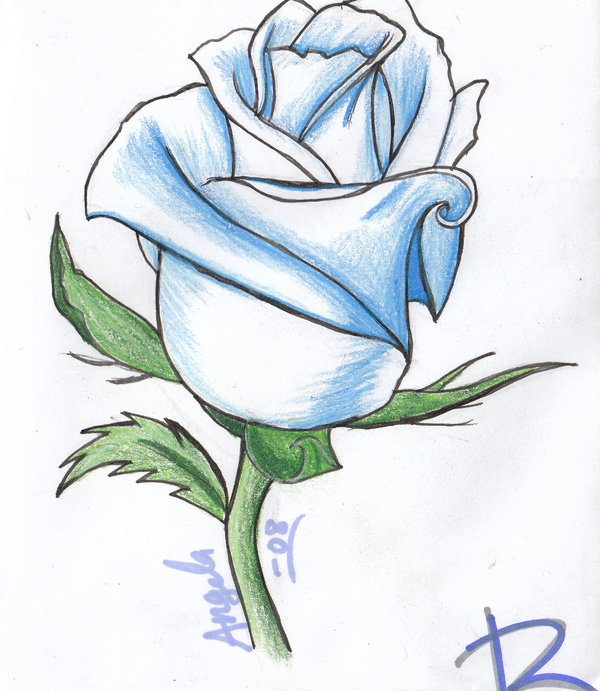600x691 Blue Rose By Wolf Spirit14