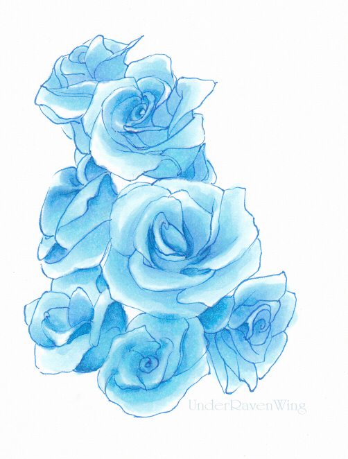 502x662 Blue Roses By Dhavita