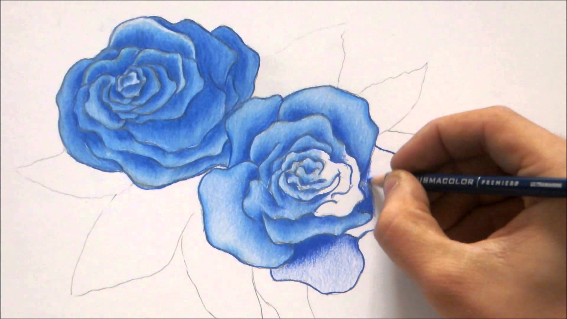 1920x1080 How To Draw Blue Rose Roses Color Pencil Drawing