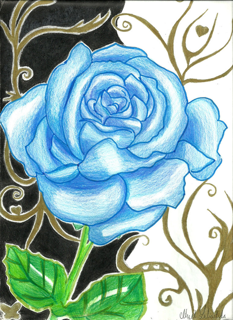 762x1048 Mystic Blue Rose By Itzel 19