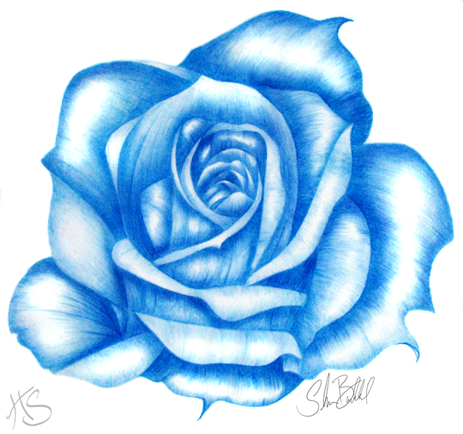 656x614 Rose In Blue By Miss Hypershadow