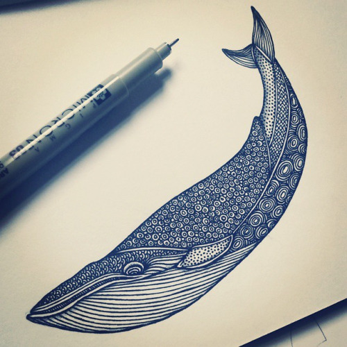 500x500 How To Draw A Blue Whale