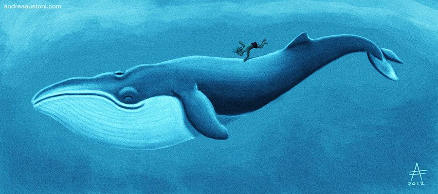 900x400 Blue Whale