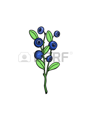360x450 269 Blueberry Bush Stock Illustrations, Cliparts And Royalty Free