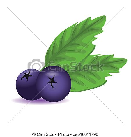 450x470 Blueberry With Leaves Eps Vectors