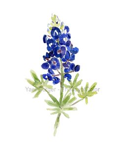 236x313 How To Draw A Bluebonnet In 6 Steps Texas