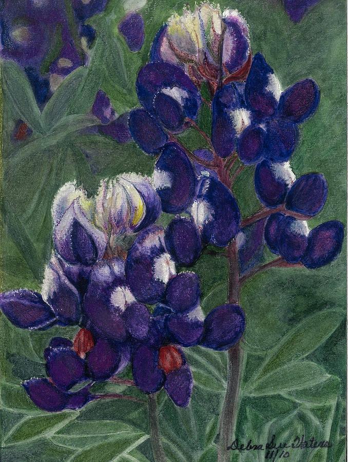 678x900 Texas Bluebonnets Drawing By Debra Sue Waters