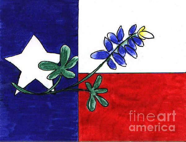 600x459 Texas Bluebonnet Drawing By Vonda Lawson Rosa