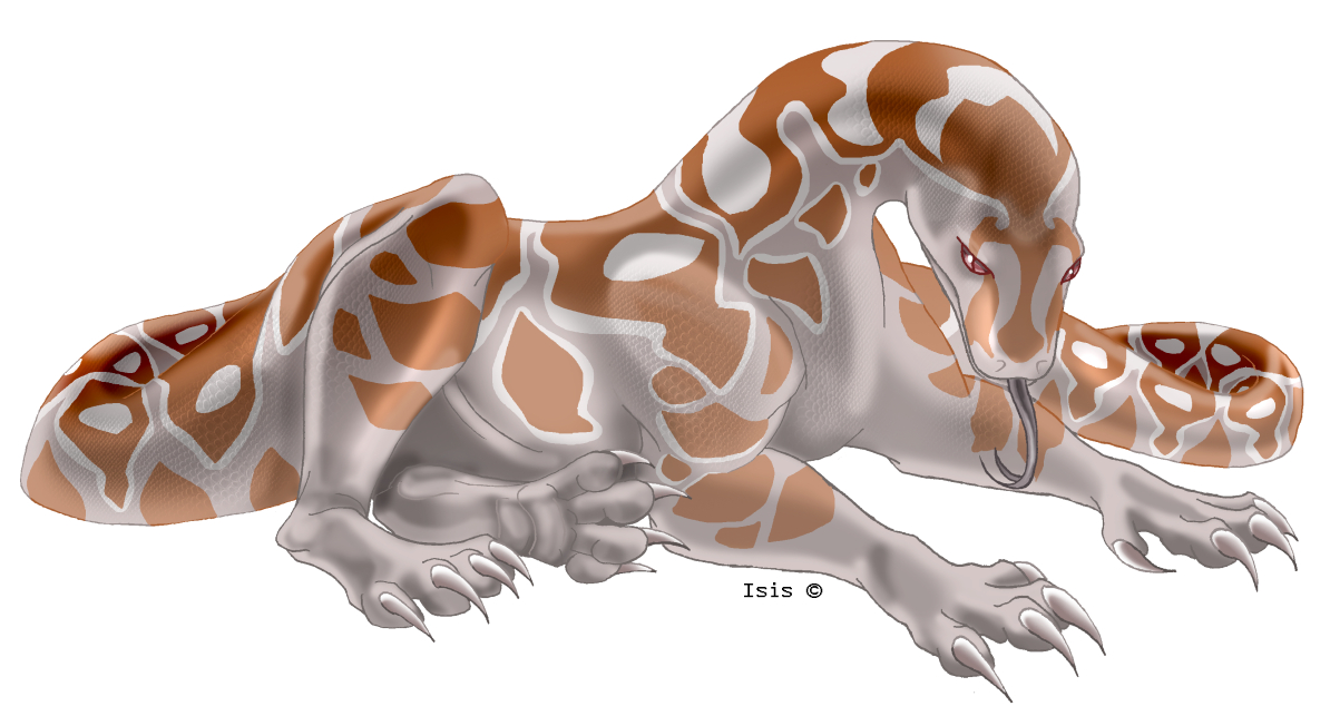 1194x643 Boa Constrictor By Isismasshiro