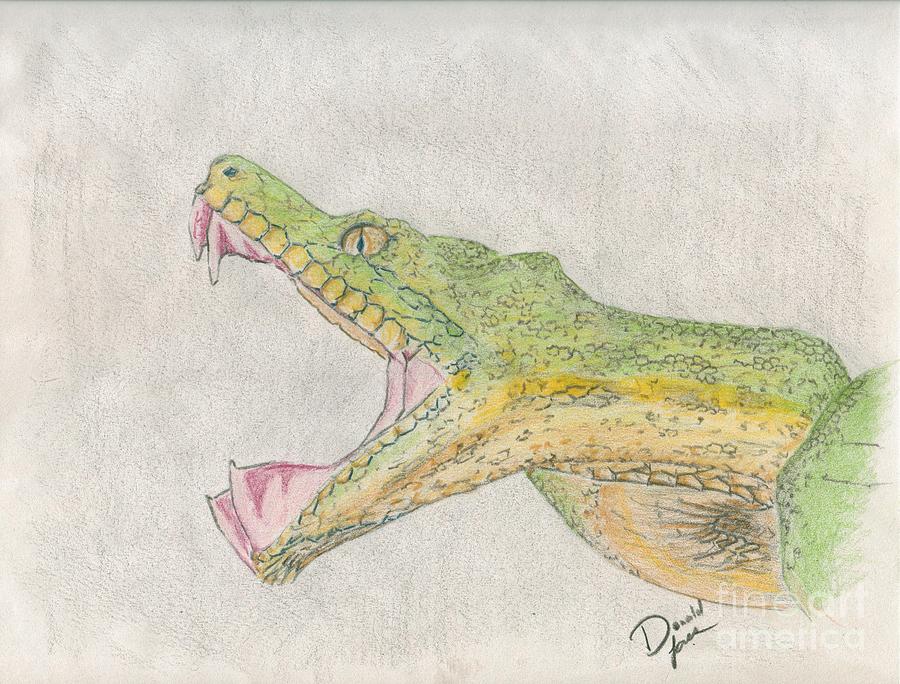 900x684 Emerald Boa Drawing By Donald Jones
