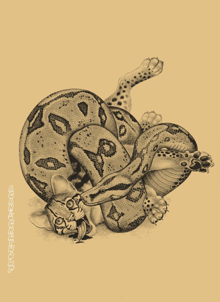 762x1048 Boa And Cat 2a By Agaricgreywolf