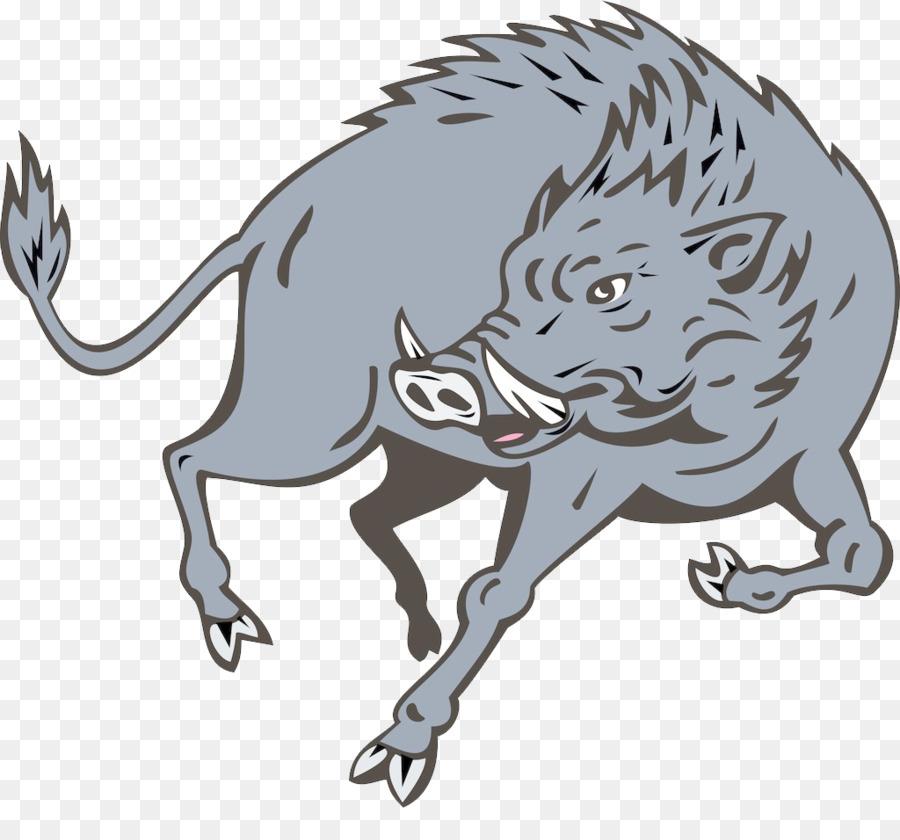 900x840 Wild Boar Drawing Stock Illustration Clip Art