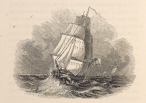 500x353 Elizabeth's Newfoundland Fisherman