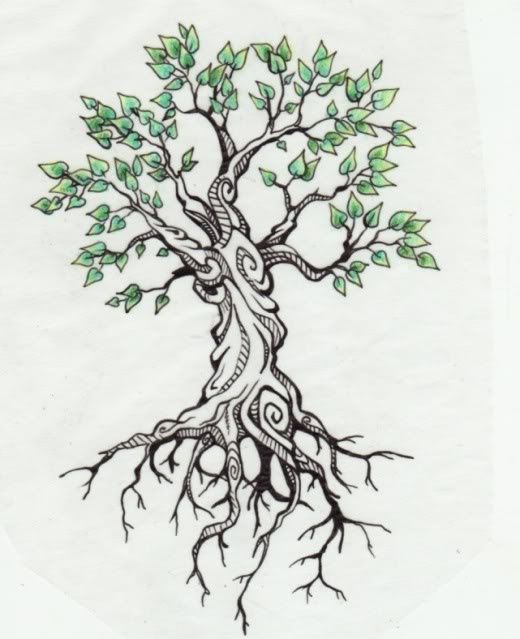 520x639 Bodhi Tree Tattoo