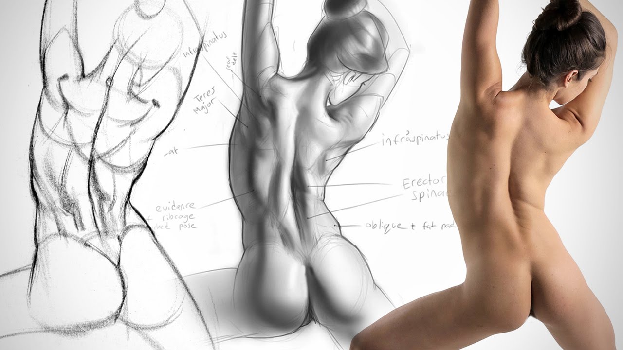1280x720 Anatomy Drawing Critiques