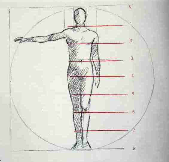 565x542 Learning To Draw Human Body