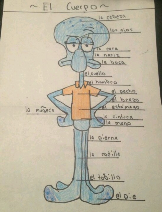 549x720 Hannah's 9th Grade Spanish Project Drawing And Labeling The Parts