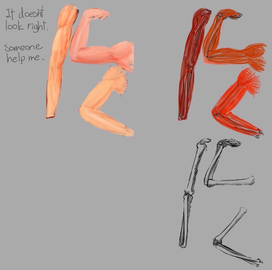 896x891 Idk How To Draw Human Body Parts. Help Me By Tade1128