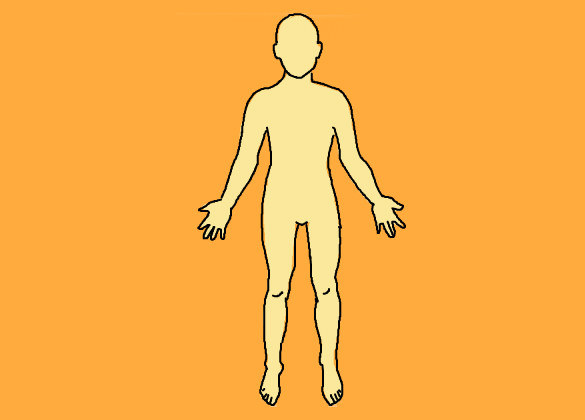 585x420 Human Body Outline Free Sample, Example, Format Download