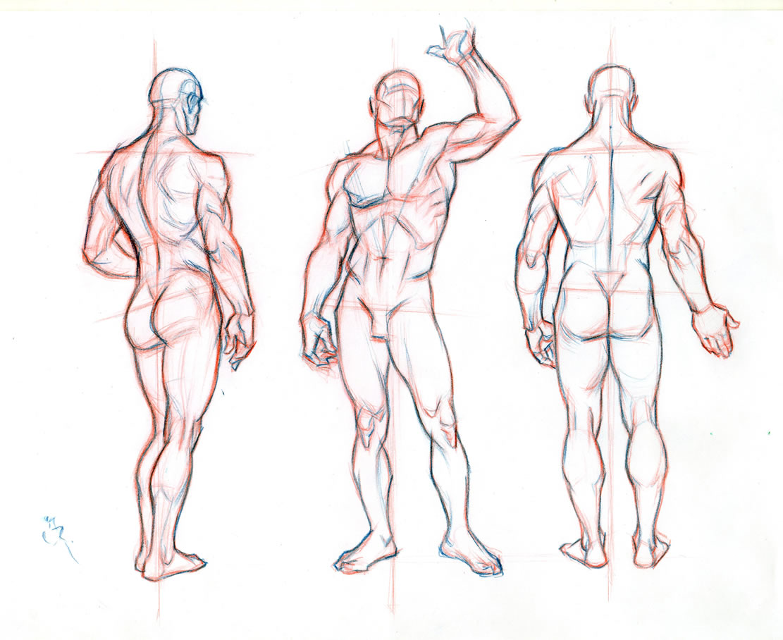 1111x908 Nice Male Body Drawing Template Ideas