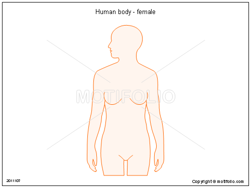 500x375 Human Body