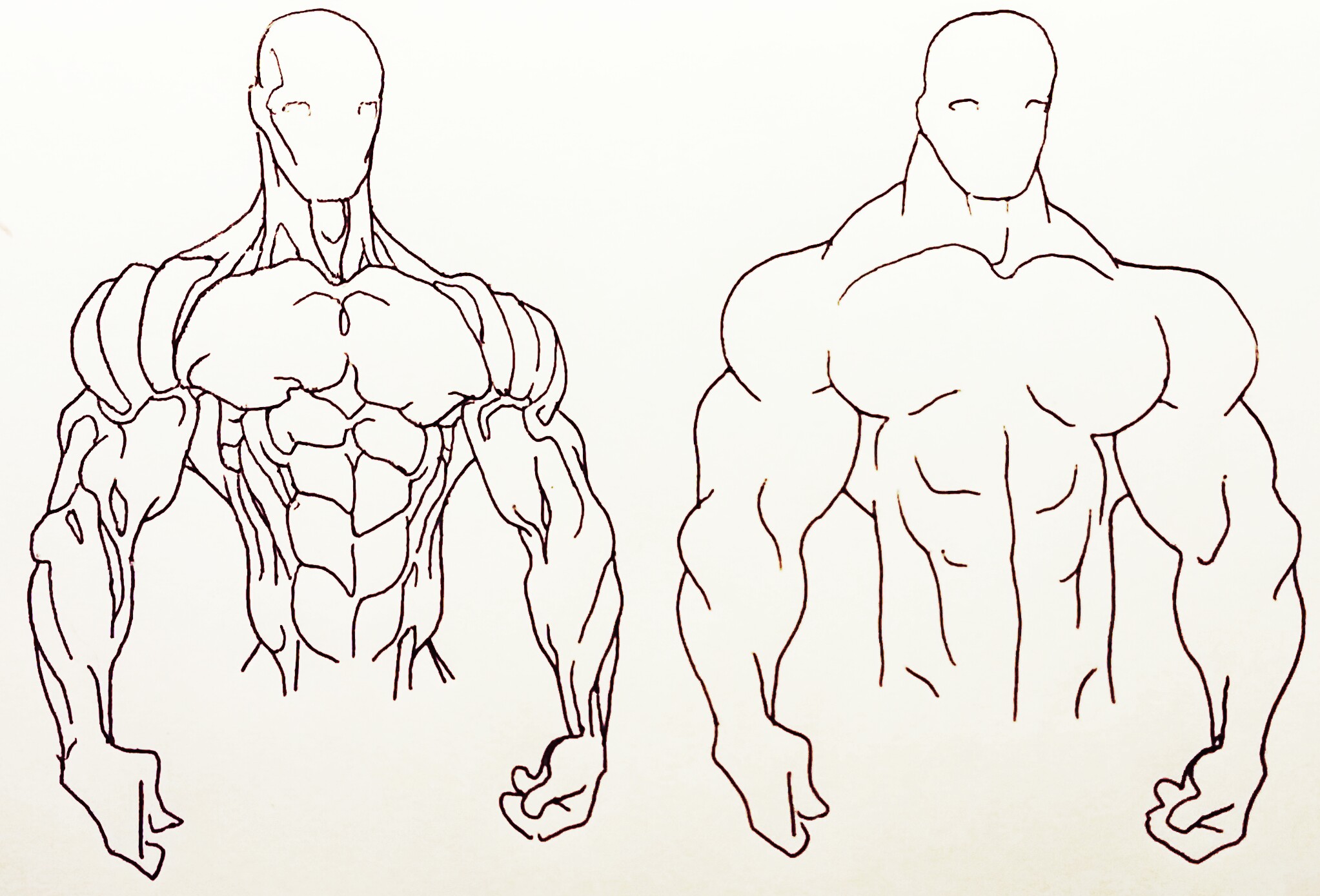 Muscular Man Pose Reference ~ Muscle Anatomy Posing | Bodhidwasuio
