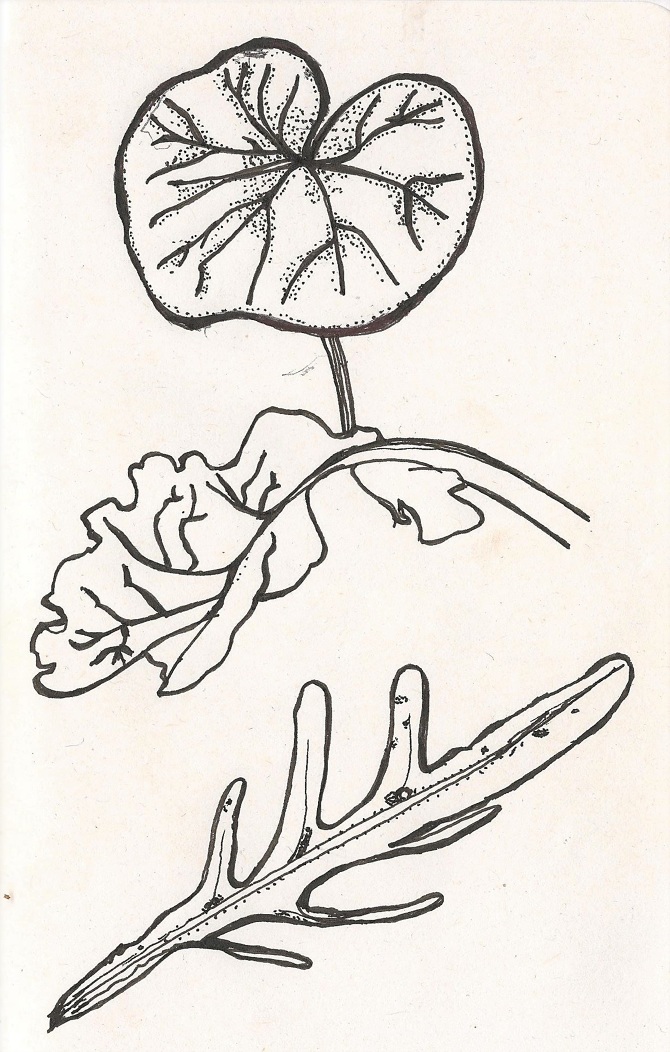 670x1052 Recipes Amp Menu