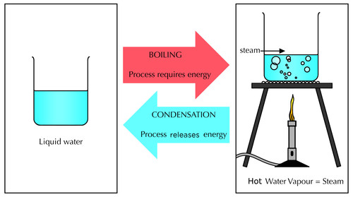500x279 Natural Sciences Grade 7