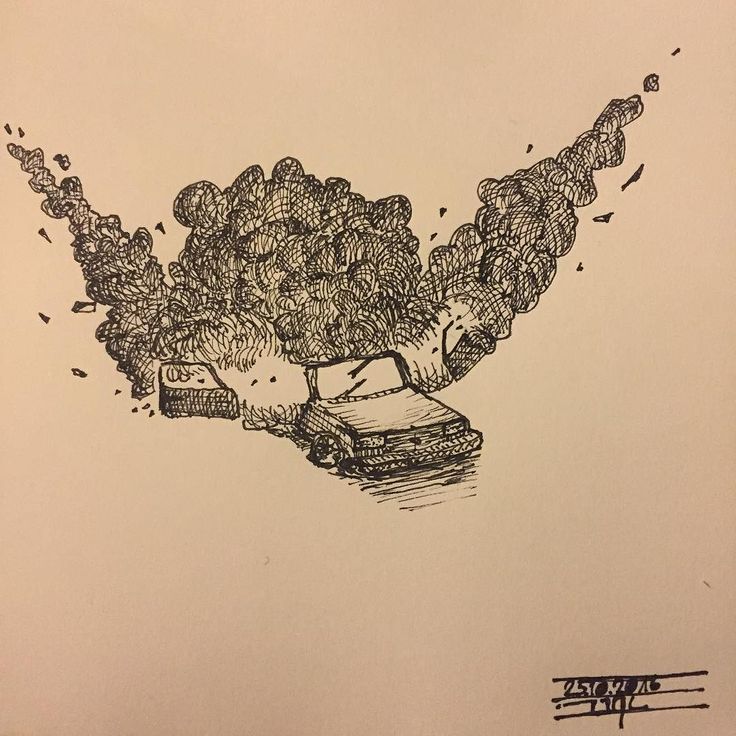 736x736 Image Result For Great Drawings Of Car Bombing Ghost Orchid