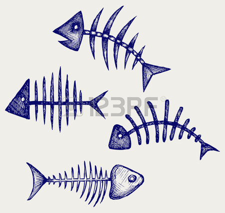 450x426 Fish Bone Stock Photos. Royalty Free Business Images