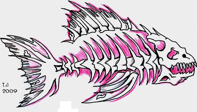 Bone Fish Drawing at GetDrawings | Free download