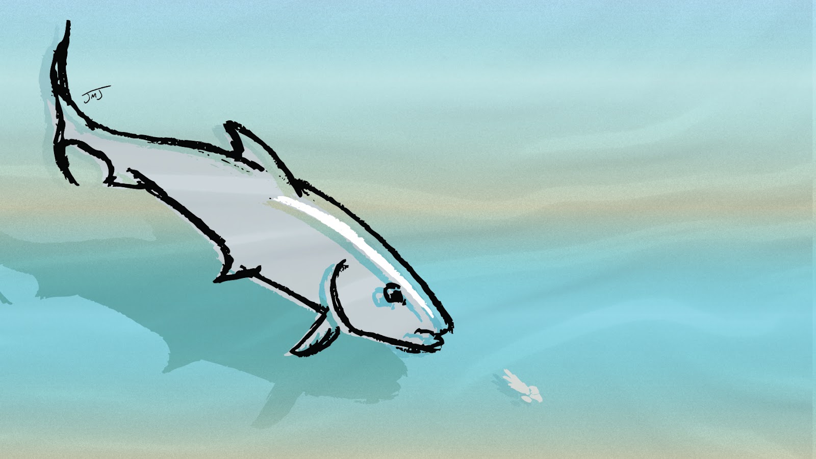 1600x900 Currents Dfampf, Bonefish And Crazy Charlie