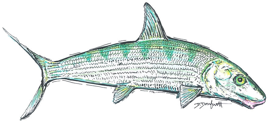 900x417 David Danforth